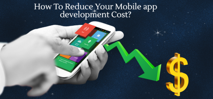 how-to-reduce-your-mobile-app-development-cost